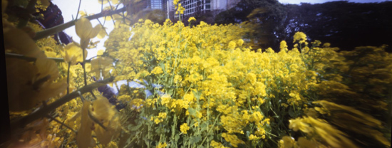 c0016712_1617220.jpg