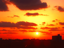 a0047618_2363271.jpg
