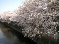 b0037223_23412516.jpg