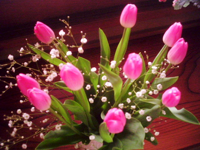 f0079723_234492.jpg