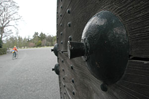 d0023725_1472628.jpg
