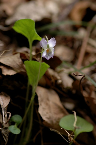 c0027027_2332211.jpg