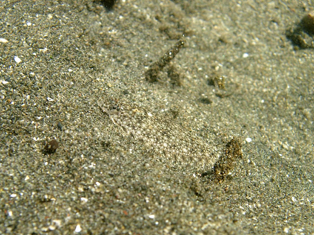 d0041331_1214038.jpg
