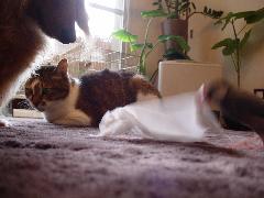 f0088731_1171553.jpg