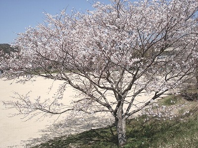 c0038334_2355174.jpg