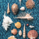 e0079435_0141084.jpg