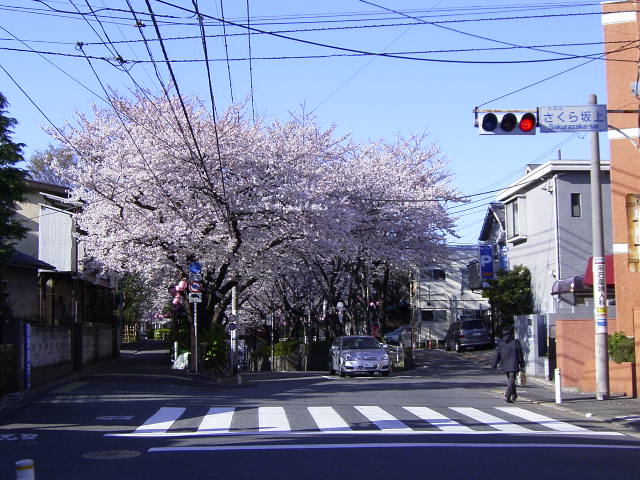 f0065341_21343482.jpg