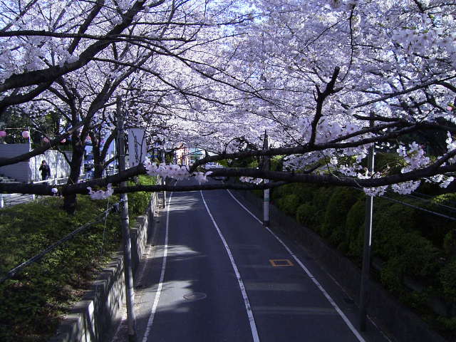 f0065341_21391752.jpg