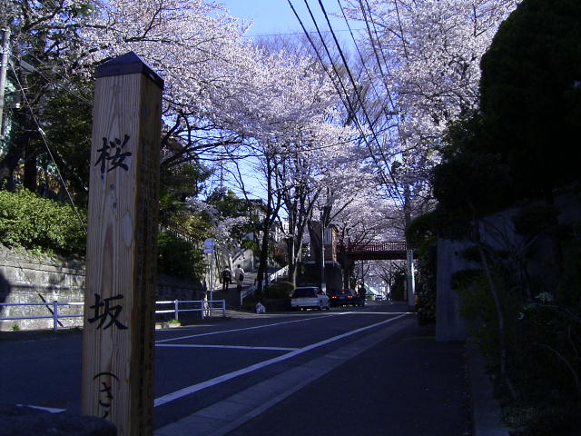 f0065341_21404335.jpg