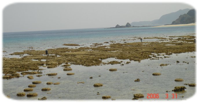 f0068042_2142614.jpg