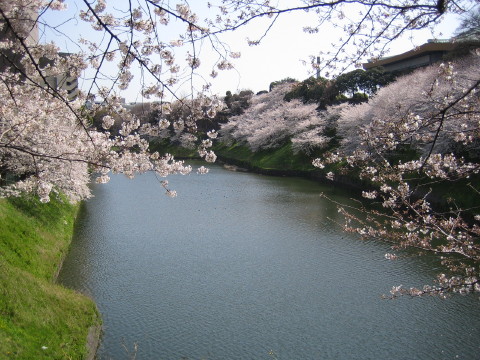 b0042943_22402185.jpg