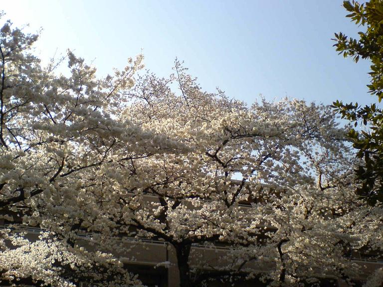 e0007147_23441577.jpg