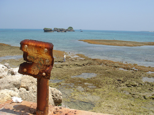 b0049152_23143224.jpg