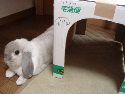 c0032257_1254638.jpg