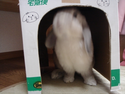 c0032257_1262641.jpg