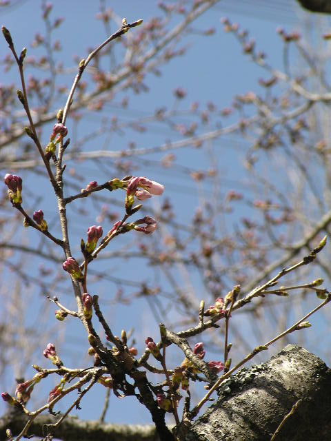f0074659_23471949.jpg