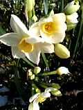 f0061067_18111040.jpg