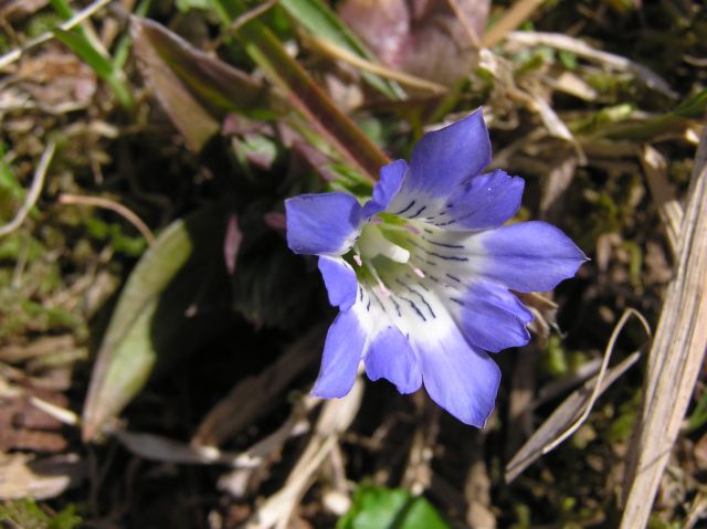 c0042869_22395916.jpg