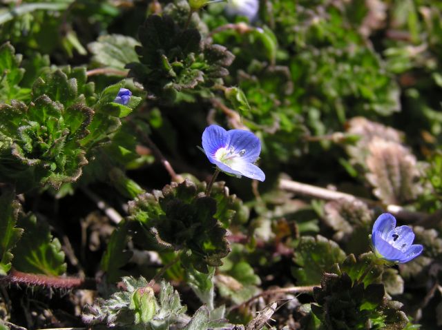 c0042869_22401292.jpg