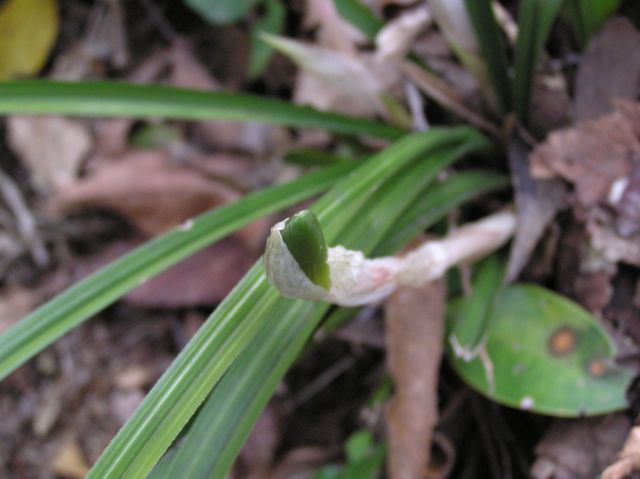 c0042869_2241472.jpg