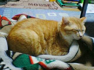 f0095271_21445210.jpg