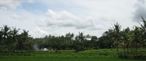 d0039075_2020357.jpg