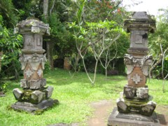 d0039075_204681.jpg