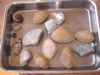 e0049286_21373132.jpg