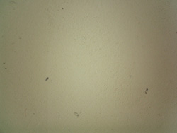 e0066586_7213485.jpg