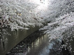 b0021101_22523438.jpg