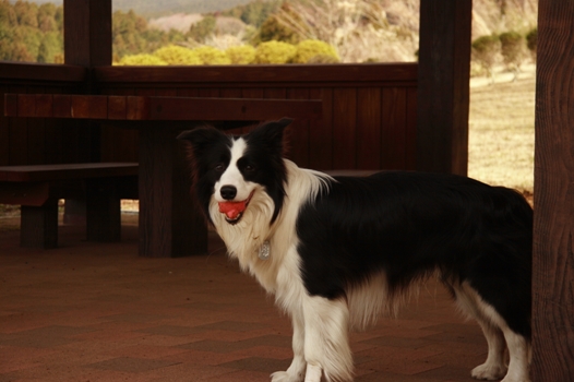 f0034602_2155949.jpg
