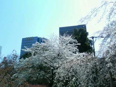 b0008103_195114.jpg