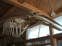f0048405_1223076.jpg