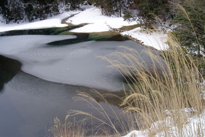e0091909_18454935.jpg