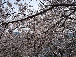f0040310_22241335.jpg