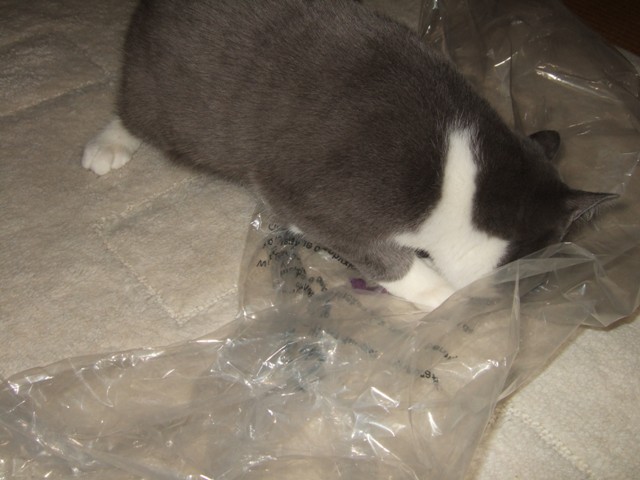 f0032020_14394347.jpg
