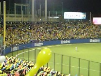 d0021223_16232228.jpg