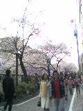 a0048531_19524278.jpg