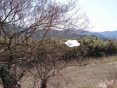 c0038334_073034.jpg