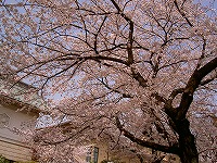 e0077634_2365657.jpg
