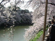b0002138_188484.jpg