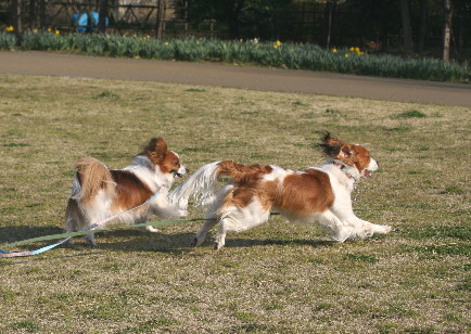 d0013149_016144.jpg