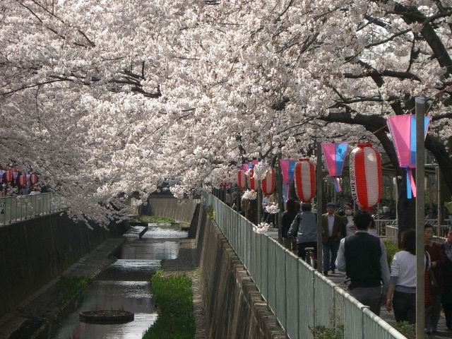 c0034850_21595269.jpg