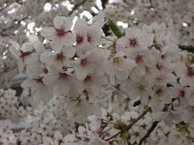 c0034850_2203328.jpg