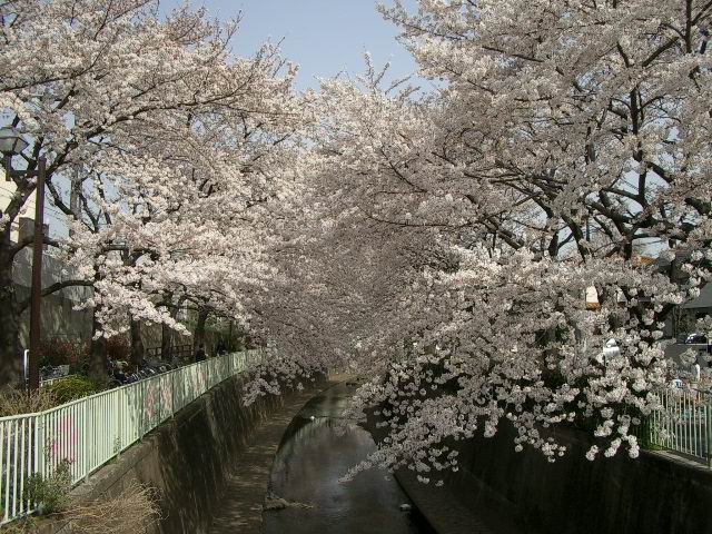 c0034850_220357.jpg