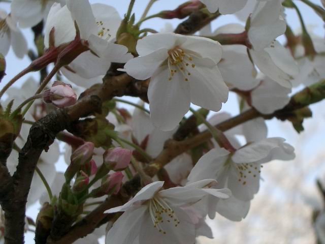 c0034850_2205481.jpg