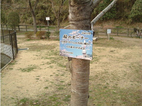 f0041850_17392636.jpg