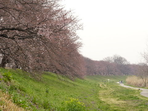 e0017051_19332090.jpg