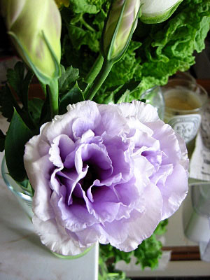 c0003752_12342288.jpg