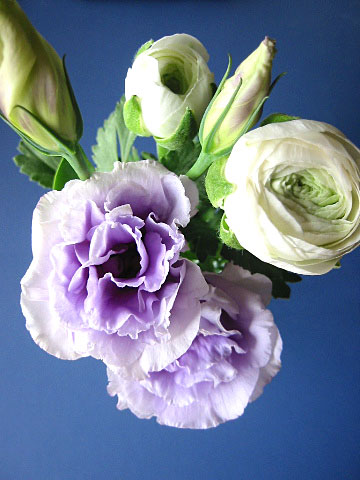 c0003752_12402363.jpg